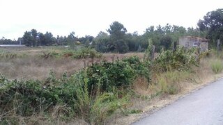 Terreno para venda em Salvaterra de Magos, Portugal — 65 000 €