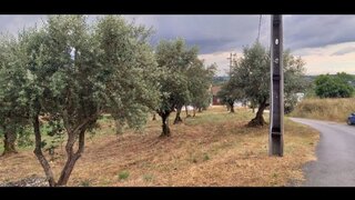 Land for sale in Tomar, Portugal — €60,000