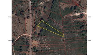 Land for sale in Santarém, Portugal — €4,000