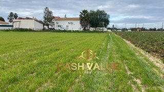 Land for sale in Salvaterra de Magos, Portugal — €69,900