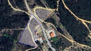 Terreno para venda em Proença-a-Nova, Portugal — 12 500 €