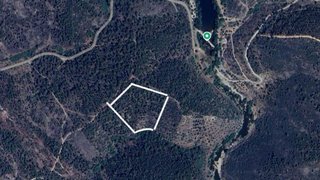 Terreno de 9500 m² em Castelo Branco