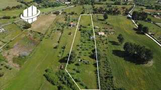 Terreno de 8000 m² em Castelo Branco