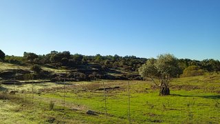 Land for sale in Idanha-a-Nova, Portugal — €32,000