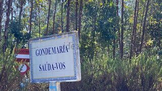 Land for sale in Ourém, Portugal — €38,000