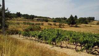Land for sale in Belmonte, Portugal — €110,000