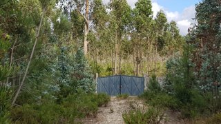 Terreno de 139 470 m² em Leiria