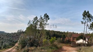 Terreno de 9900 m² em Santarém