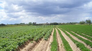Land for sale in Almeirim, Portugal — €29,500