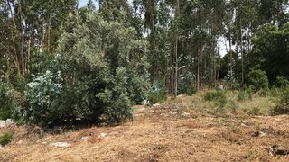 Land for sale in Porto de Mós, Portugal — €39,000