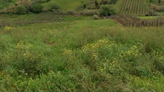 Land for sale in Batalha, Portugal — €14,000