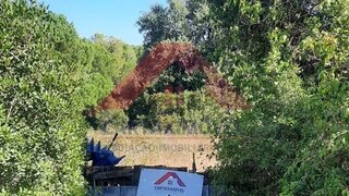 Land for sale in Cartaxo, Portugal — €25,000