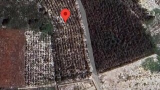 Terreno de 6020 m² em Leiria