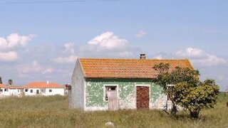 Land for sale in Salvaterra de Magos, Portugal — €110,000