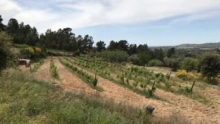 Land for sale in Penamacor, Portugal — €65,000