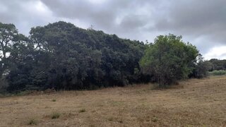 Land for sale in Caldas da Rainha, Portugal — €450,000