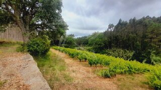 Land for sale in Caldas da Rainha, Portugal — €82,000