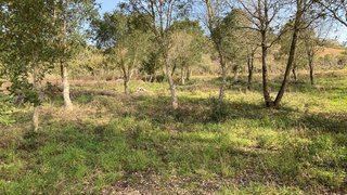 Land for sale in Bombarral, Portugal — €125,000