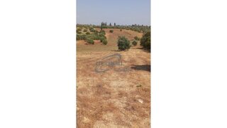 Land for sale in Torres Novas, Portugal — €37,000