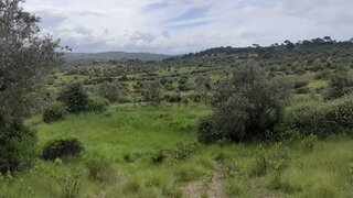 Land for sale in Alcanena, Portugal — €7,800