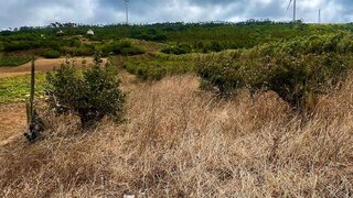 Land for sale in Peniche, Portugal — €380,000