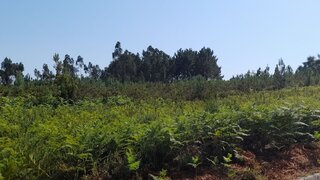 Land for sale in Pombal, Portugal — €85,000