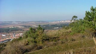 Land for sale in Alcobaça, Portugal — €81,500