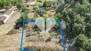 Terreno em Chamusca