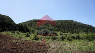 Land for sale in Bombarral, Portugal — €21,450