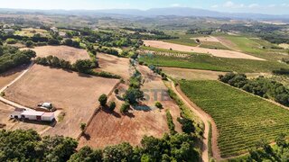 Land for sale in Bombarral, Portugal — €65,000