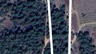 Terreno de 2500 m² em Castelo Branco