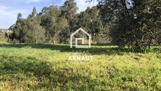 Land for sale in Pombal, Portugal — €44,900
