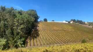 Land for sale in Caldas da Rainha, Portugal — €82,000