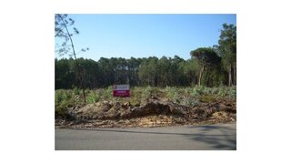 Terreno de 9200 m² em Leiria