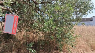 Terreno de 1843 m² em Leiria