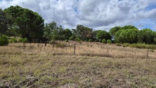 Land for sale in Coruche, Portugal — €72,500
