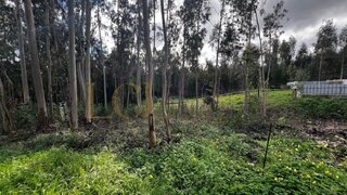 Terreno de 892 m² em Leiria