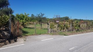 Terreno de 2750 m² em Castelo Branco