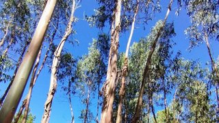 Land for sale in Alpiarça, Portugal — €30,000