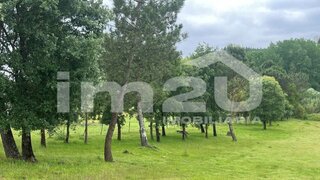 Terreno em Leiria · 4716 m² · 120 000 €
