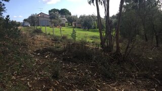 Land for sale in Tomar, Portugal — €4,850