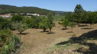 Land for sale in Alcobaça, Portugal — €30,000
