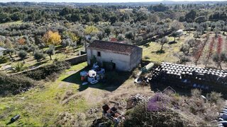 Terreno de 25 550 m² em Castelo Branco