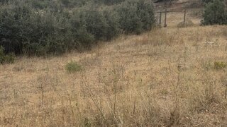 Terreno em Tomar · 534 m² · 35 000 €