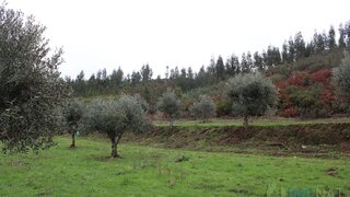 Land for sale in Oleiros, Portugal — €11,000