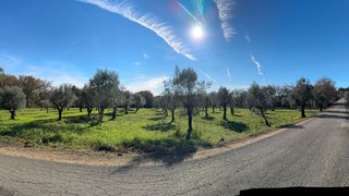 Land for sale in Alvaiázere, Portugal — €70,000
