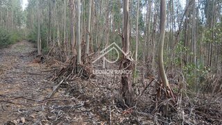 Land for sale in Sertã, Portugal — €9,000
