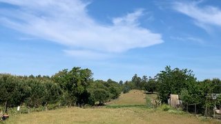 Land for sale in Almeirim, Portugal — €23,000