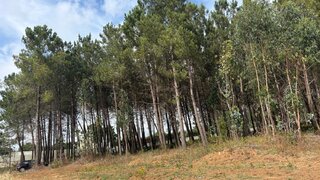 Land for sale in Alcobaça, Portugal — €170,000