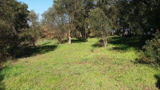 Terreno em Constância